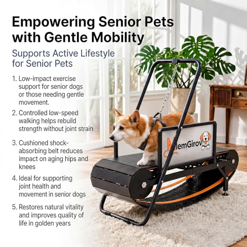 Dog Treadmill, Non-Motorized for Small Medium Dogs, Indoor & Out
