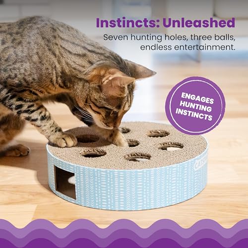 Catstages Scratch N' Hunt Interactive Cat Puzzle Toy with Scratcher, 11"