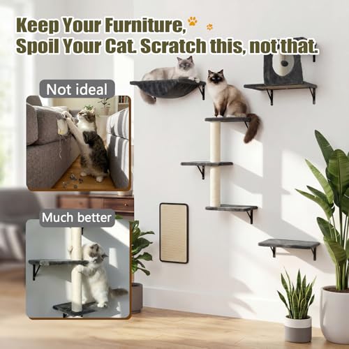 Cat Wall Shelves, Cat Wall Mounted Furniture, Climbing Wall Systems with Perches, Scratchers and Condo, Kitten Indoor Jungle Gym Set of 5 (Grey) - color: Grey