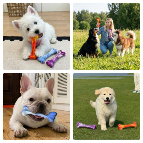3 Pack Dog Chew Toys for Aggressive Chewers, Tough Bone
