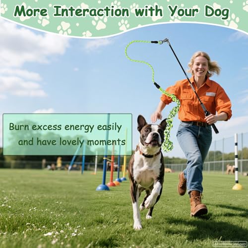 Flirt Pole for Dogs Heavy Duty, Interactive Chase & Tug of War Wand - color: green