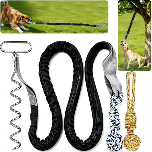 Dog Bungee Tug Toy in outside with Stake, outside dog toys for Yard & Tree