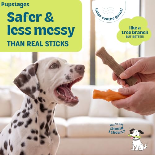 Dogwood Puppy Dog Chew Toys, USA Made Materials, 2-Pack, 5.3"