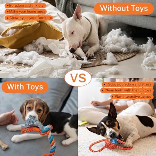 Toozey 8 Pack Small Dog Toys, Squeaky Plush Puppy Toys & Durable Rope Toys