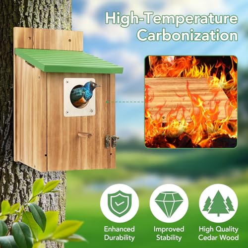 2 Pack Bird Houses for Outside- Cedar Bird House with Metal Predator Guard - color: Green - 2 Pack