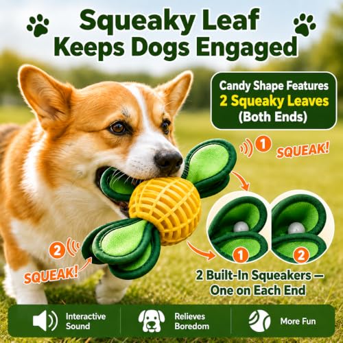 2-Pack Durable Dog Chew Balls for Aggressive Chewers