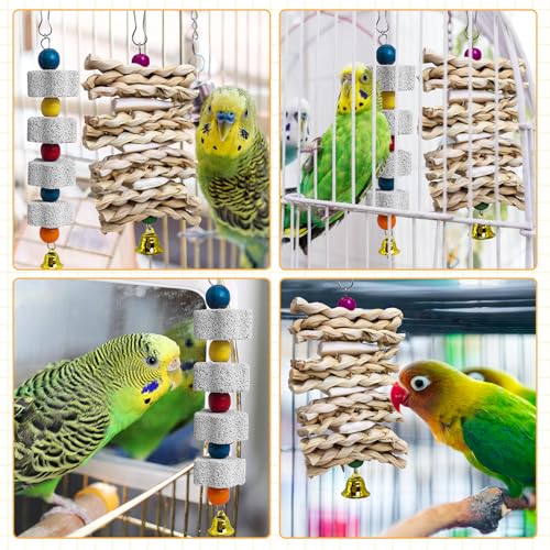 PINVNBY 2 Pack Parrot Toys Chewing Bird Toy Cuttlebone Beak Grinding Stone Cage Hanging Toys with Bell for African Greys Amazon Conure Eclectus Budgies Parakeet Cockatiel Hamster Chinchilla