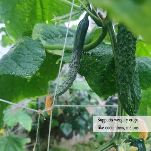 Trellis Netting 5x350 Ft for Climbing Plants - size: 5x350 FT