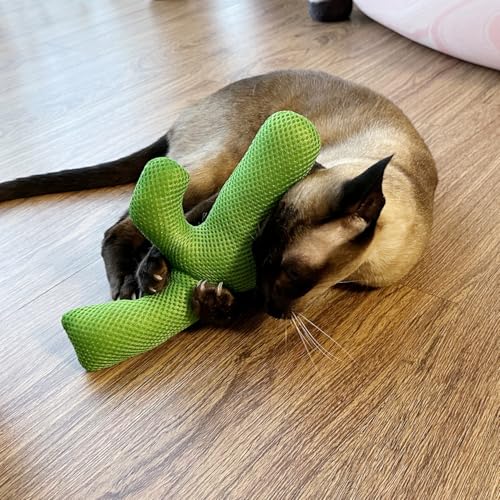 TTcat Large Cactus Silvervine Cat Toy Pillow, Durable Mesh Chew Toy for Indoor Cats, Interactive Kitten Teething Toy, Cat Kick Stuffed Toy for Bite, Play and Relax, 9.45 Inch Big Size Cat Kick Toy.