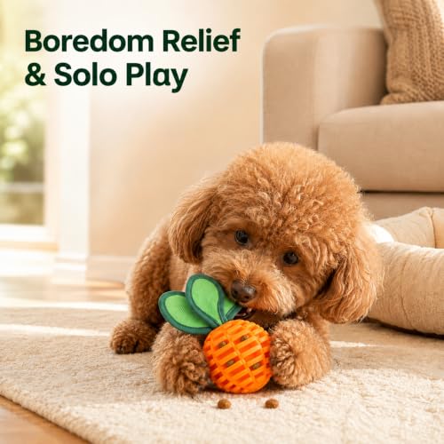 2-Pack Durable Dog Chew Balls for Aggressive Chewers