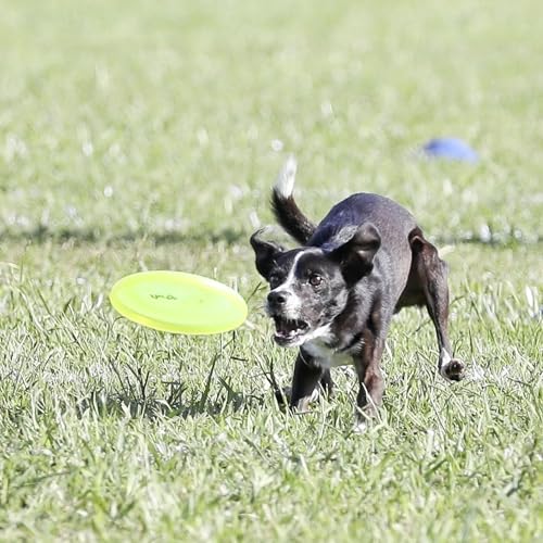 Hyperflite Pup Jawz Puncture Resistant Dog Flying Disc, Small Dogs - color: Yellow
