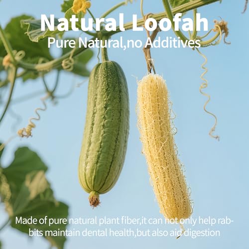 BESNEW 3 PCS Rabbit Chew Toys,100% Natural Loofah Without Additives,Bunny Chew Toys for Teeth,Fiber-Rich Rabbit Treats for Bunny Chinchilla Dogs - style: 3 ps