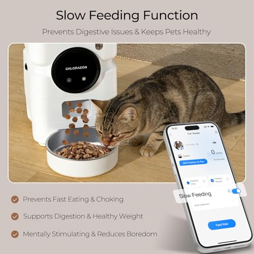 Automatic Cat Feeder for 3 Cats, 6L 2.4G WiFi Feeder, Slow Feed, Warm White - color: Warm White