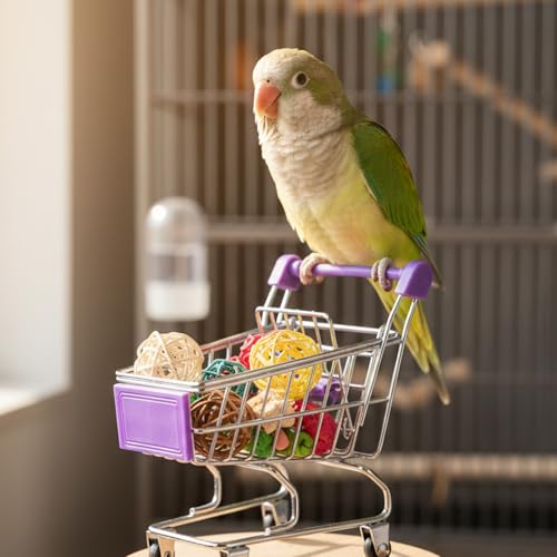 Hypeety Bird Toys Mini Shopping Handcart Trolley Training Bird Toy, Purple - color: Purple