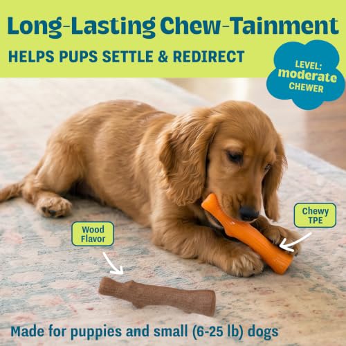 Dogwood Puppy Dog Chew Toys, USA Made Materials, 2-Pack, 5.3"