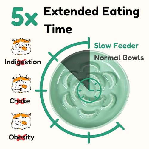 2 Pcs Ceramic Cat Slow Feeder Bowl Set, Dumpling Shape Cat Food Plates, 6.2" W Wide Shallow Whisker Friendly Slow Feeding Cat Bowls for Dry Food, Wet Food & Treats, Dishwasher Safe（Green + Blue） - color: Green + Blue