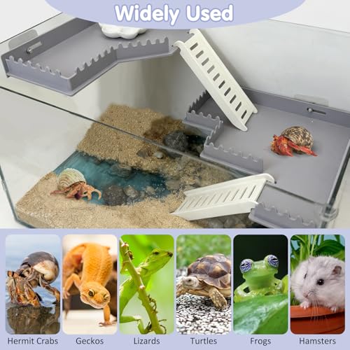 Hermit Crab Climbing Platform Habitat Tank Accessories - color: Grey