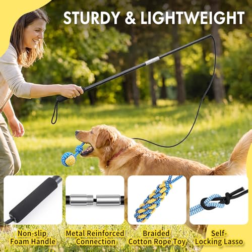 Flirt Pole for Dogs, Heavy Duty 33" Detachable Toy with 5 Lures - color: Rope+Ball