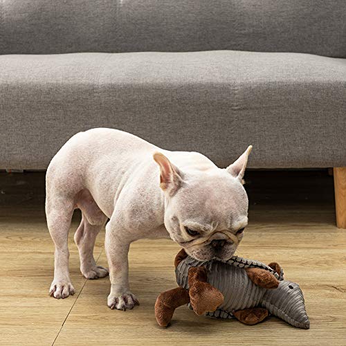 Hollypet Armadillo Squeaky Puppy Dog Toys for Small Medium Dogs, 8" - color: Gray, size: 8 IN