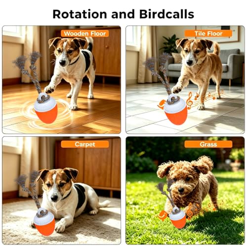 Interactive Dog Ball Toy for Medium & Large Dogs, Automatic Moving Dog Toy with Bird Sounds and Rope, USB Rechargeable Smart Ball with Fast & Slow Modes, 500mAh Dog Enrichment Toy - color: Orange