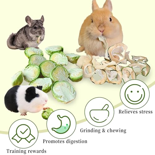 Hamiledyi Rabbits Chew Treats Dried Brussels Sprouts & Papaya for Guinea Pigs Chinchillas Hamsters Bunny Natural Small Animal Chew Toys for Teeth Grinding Foraging Treats (10 OZ)