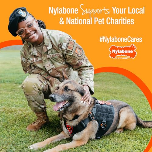Nylabone Power Chew Easy-Hold Wishbone Dog Chew Toy, Small - color: Wishbone, size: Small