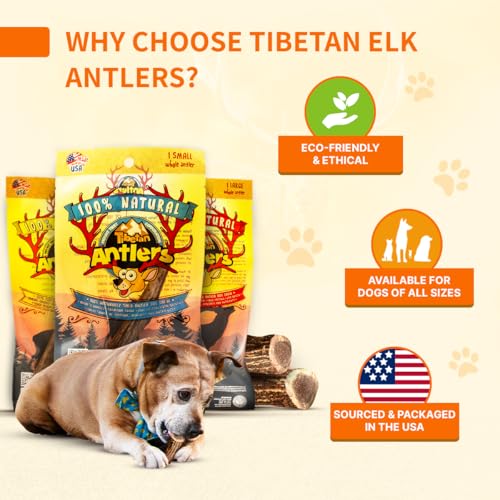 Tibetan Elk Antler for Jumbo Dogs, Grade-A, Premium Chews, Naturally shed Healthy & Longer Lasting Aggressive chewers, USA Product Antler (Split) - style: Split - Jumbo - 1 Pack