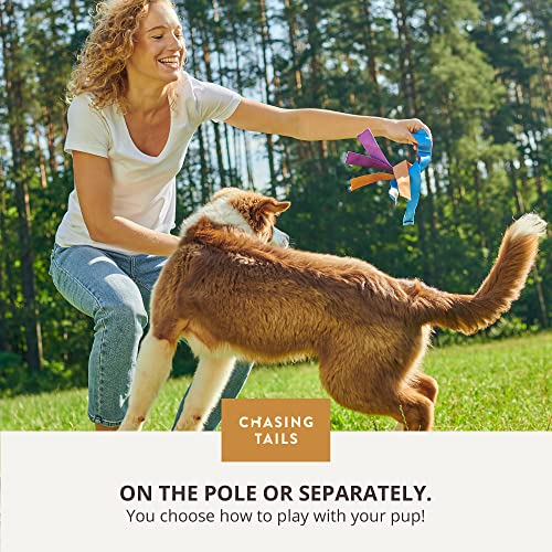 Chasing Tails Flirt Pole for Small Dogs - 26 Inch with 70 Inch Rope and Two Toys -Interactive Play Equipment for Small and Medium Breeds - Durable and Fun Exercise Tool for Active Pets - size: Pole - 26 Inch