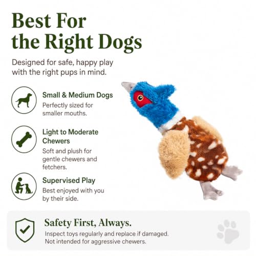 Stuffing-Free Bird Dog Toy, Plush Squeaky Dog Toy with 4 Squeakers and Crinkle Wings, Hollow Body No-Stuffing Design for Small Medium Dogs - color: Blue