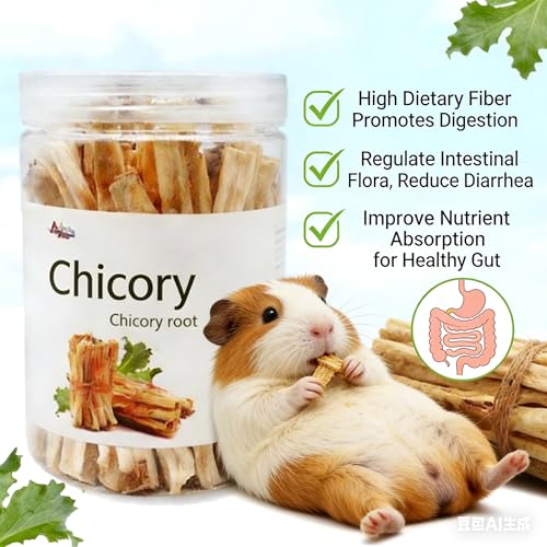 Guinea Pig Chews, Premium Chicory Chew Sticks for Rabbits, Guinea Pig Toys 100% Natural Digestive Aid, Dental Health, Anxiety Relief Chew Toys - Safe Fiber Snack for Rabbit, Chinchilla, Hamster, Rat