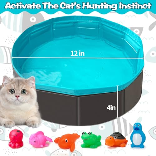 Cat Pool Toy, Cat Enrichment Toy, Portable Play Mat (1pcs Pool + 6pcs Toy)