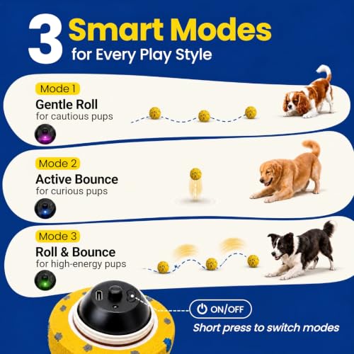 Dog Ball