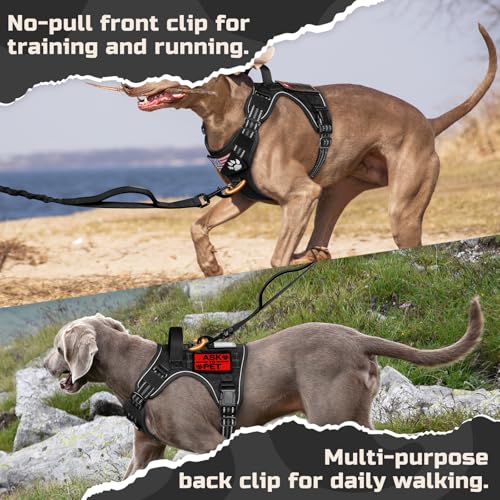 rabbitgoo Tactical Dog Harness for Medium, No Pull Military Service Vest - color: Black, size: Medium