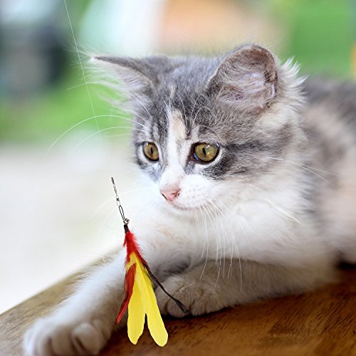 Pawaboo Interactive Cat Toys for Indoor Cats, Cat Wand Toys - color: Colorful