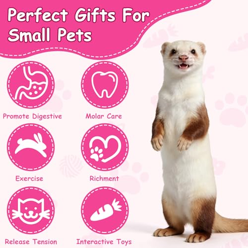 17Pcs Ferret Toys Set, Interactive Chew & Enrichment Toys for Small Pets