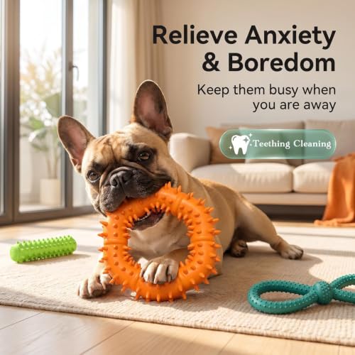 Interactive Multi-Functional Squeaky Dog Toy Set, Tough Rubber Teething Toy