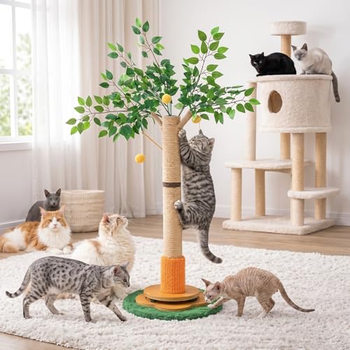 Nuanchu Orange 41in Cat Scratching Post Tree for Indoor Cats Adults - size: 41in, style: Orange