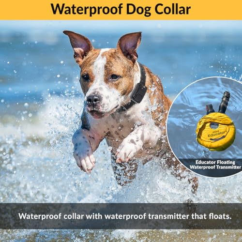 E-Collar Mini Educator ET-300 Remote Dog Training Collar, Teal - color: Teal, size: 1 Dog