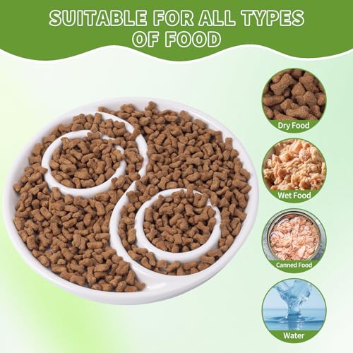 Ceramic Cat Slow Feeder,Shallow and Wide Opening Dish for Whisker Friendly