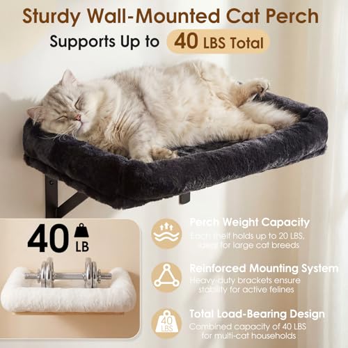 5-in-1 Cat Wall Shelves for Large Cats, Floating Climber with Scratcher - color: Black