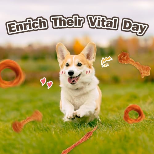 VITADAY Turkey Tendon for Dogs, USA-Sourced, Strips, 3 oz, Pack of 5 - size: 3 Ounce (Pack of 5)
