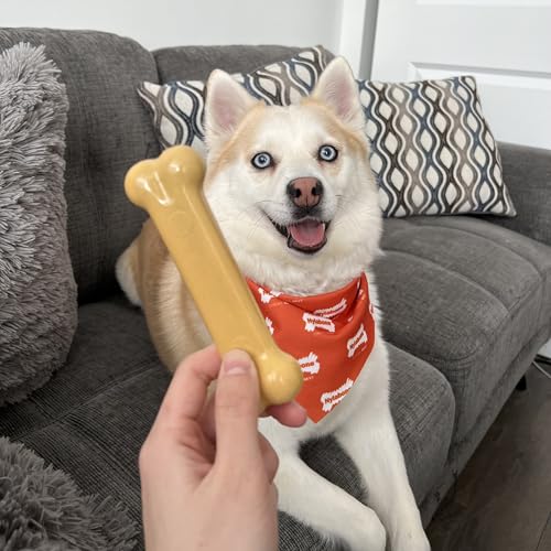 Nylabone Power Chew Customer Favorites Dog Chew Toys, 3 Count, Small - color: Bundle, size: Small