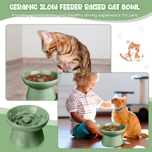 Tioncy 2 Pcs Ceramic Elevated Slow Feeder Cat Bowl, Sage Green - color: Sage Green