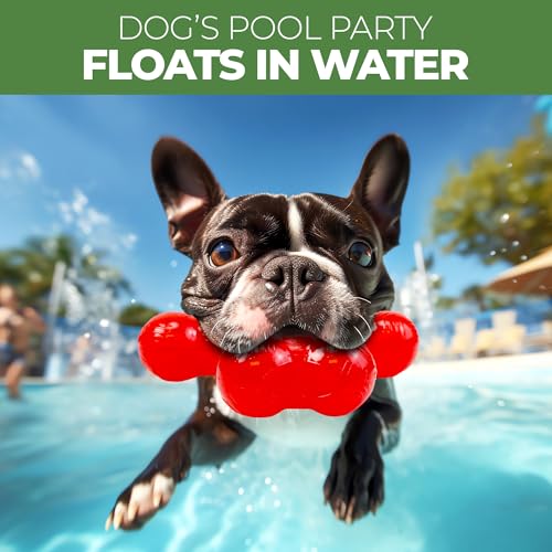 SPOT Play Strong Trident Bone - Durable TPR Long Lasting Dog Chew for Aggressive Chewers, Hole for Treats, Virtually Indestructible Toy for Large Dogs & Puppies up to 90lbs - 6 inch - style: Trident Bone