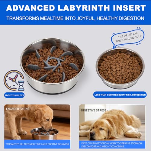 Set of 2 Pack Stainless Steel Dog Bowls & 1x Slow Feeder Insert, 32oz/4 Cups Non Slip Dog Metal Food Bowl & Water Bowl with Rubber Bottom (M Size for Small Medium Dogs) Dishwasher Safe