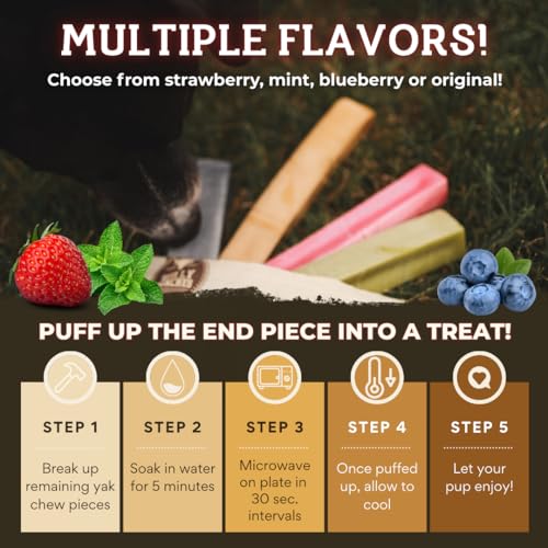 Bully Bunches Small Authentic Yak Cheese Himalayan Chews for Small Dogs & Puppies - All Natural Dog Treat Dental Chews, Made with Real Yak Milk for Teething - Lactose & Rawhide Free (3 Pk)