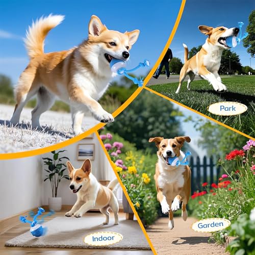The Chase Buddy Dog Boredom Stimulating Toy 2025 Smart Pet Puppy Ball with Ropes Interactive Self Play Moving Dogs Balls Automatic Electric Active Rolling Ball Jumping Bouncing Dog Balls Gift (Blue) - color: Blue