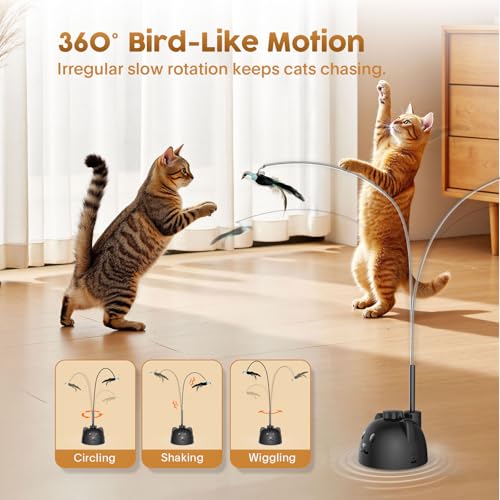 Interactive Cat Toys for Indoor Cats, 360° Automatic Spin Flying Bird Wand - color: Black