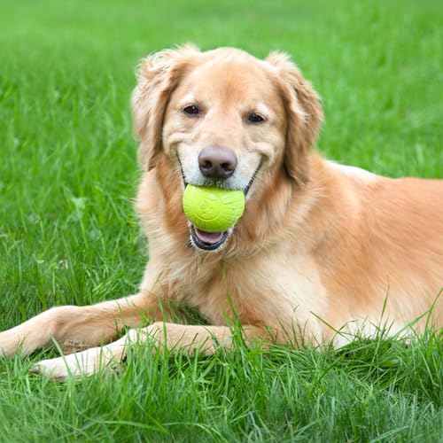 Chew King by Mammoth Supreme Rubber Dog Fetch Balls (8-Pack), Durable 2.5” Natural Rubber Balls with Safety Air Vent, High Bounce Fetch Toys for Aggressive Chewers, Launcher Compatible - Yellow - color: E) 8-Pack 2.5" Balls (Yellow)