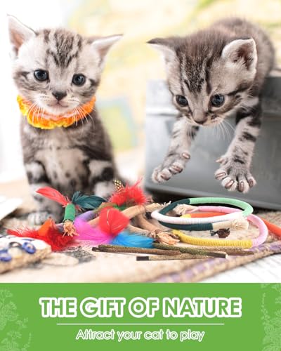 TINDTOP Cat Chew Toys, Silvervine Chew Sticks with 2 Pack Chew Ropes - color: 14 Pack